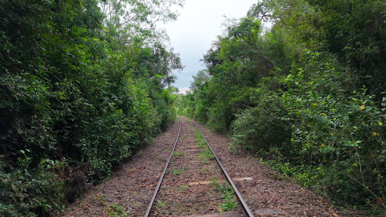 A drone flies along train tracks, nearly concealed by dense green foliage and nature.