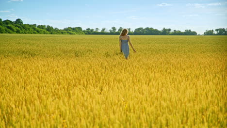 Walking-woman-touch-wheat-ears.-Nature-beauty-woman