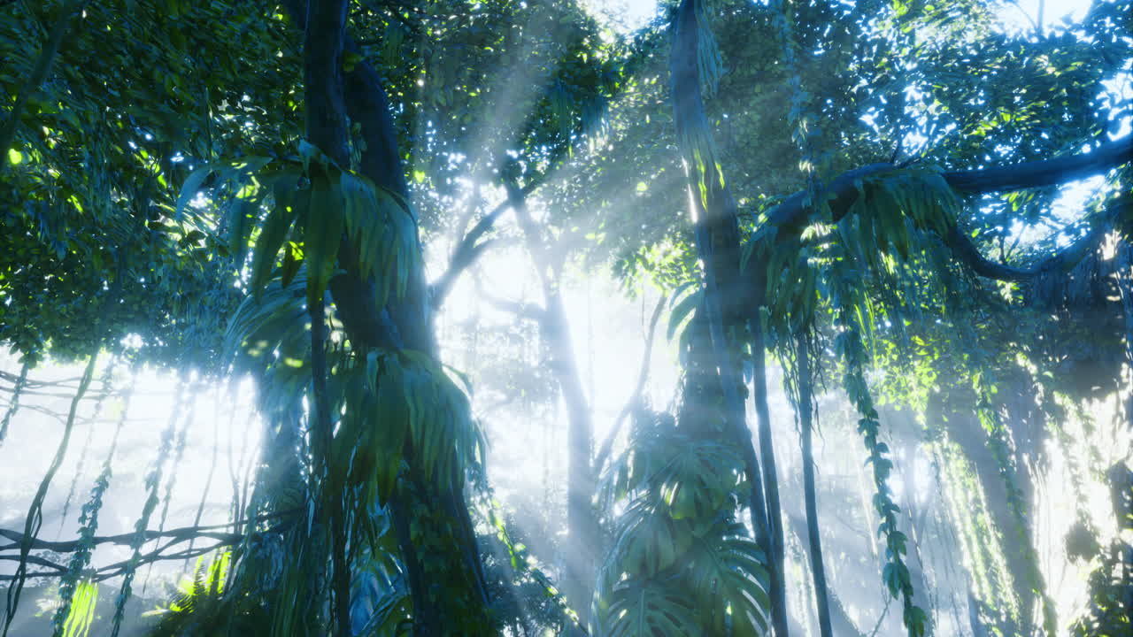 Lush forest bathed in golden sunlight filters through the dense canopy
