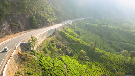 aerial drone shot of munnar’s tea plantations framed by majestic hills and misty valleys