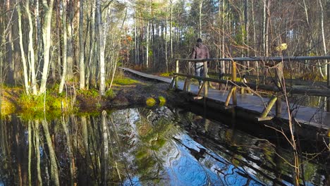 a man walking his dog over a wooden bridge that goes over a wetland or bog hiking spot. bog nature is surrounding the man while water is reflective and birch trees on the side. the dog is small, white