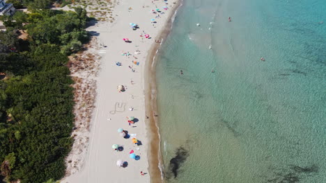 vista aérea de pájaro, playa pública en la isla de cerdeña, italia, sombrillas de colores, agua clara del mar mediterráneo en un día soleado de verano