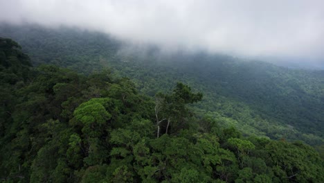 Lush-tropical-jungle-flyover:-Green-mountain-ridge-in-low-cloud