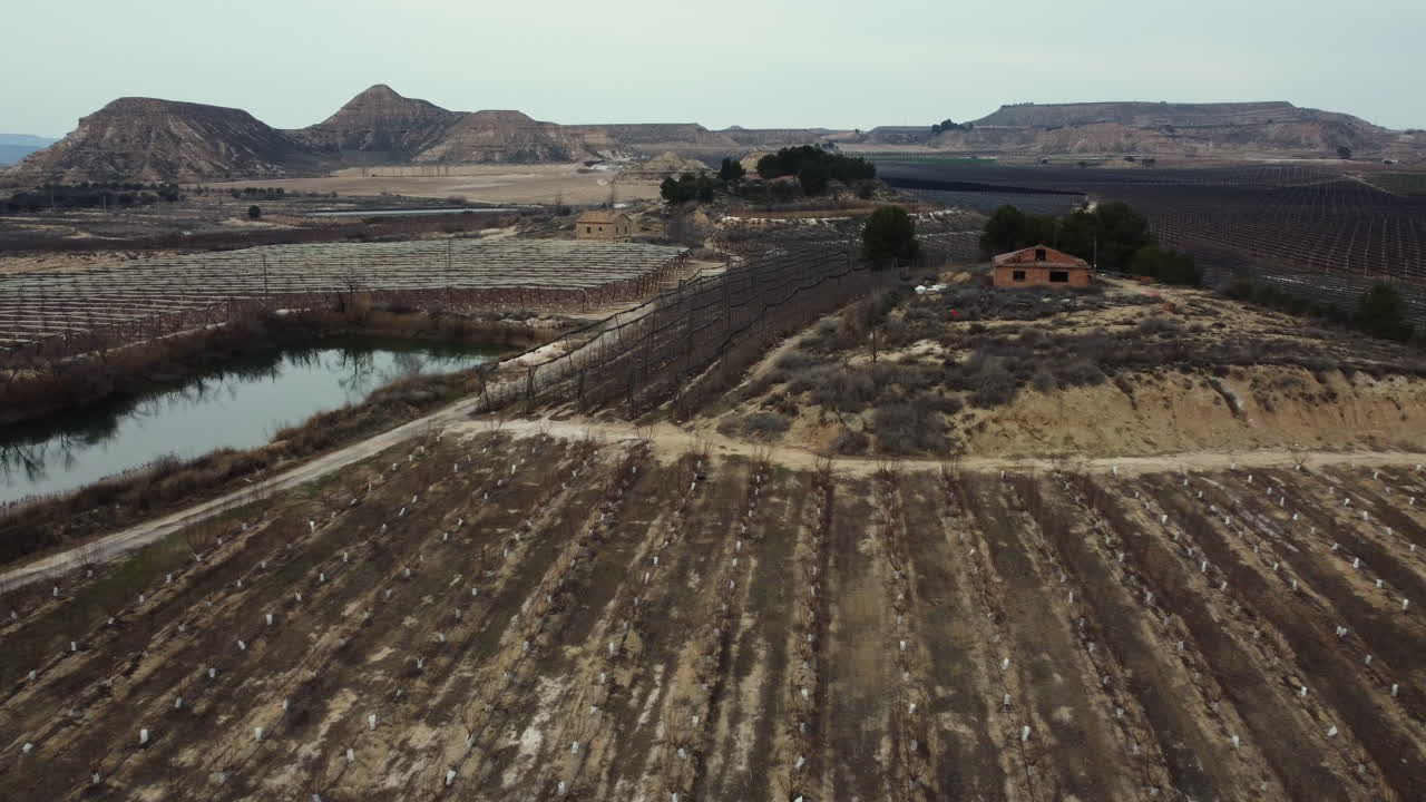 Aerial View of Agricultural Landscape in Arid Region
