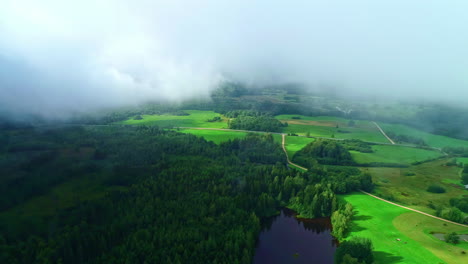 scenic aerial forest landscape covered by misty clouds