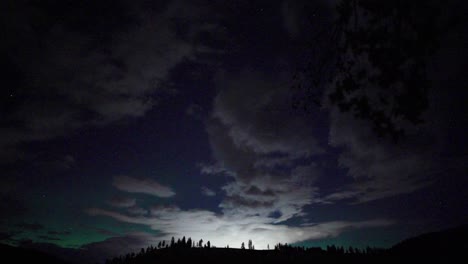 hipnotizantes luces del norte sobre las lejanas líneas de árboles