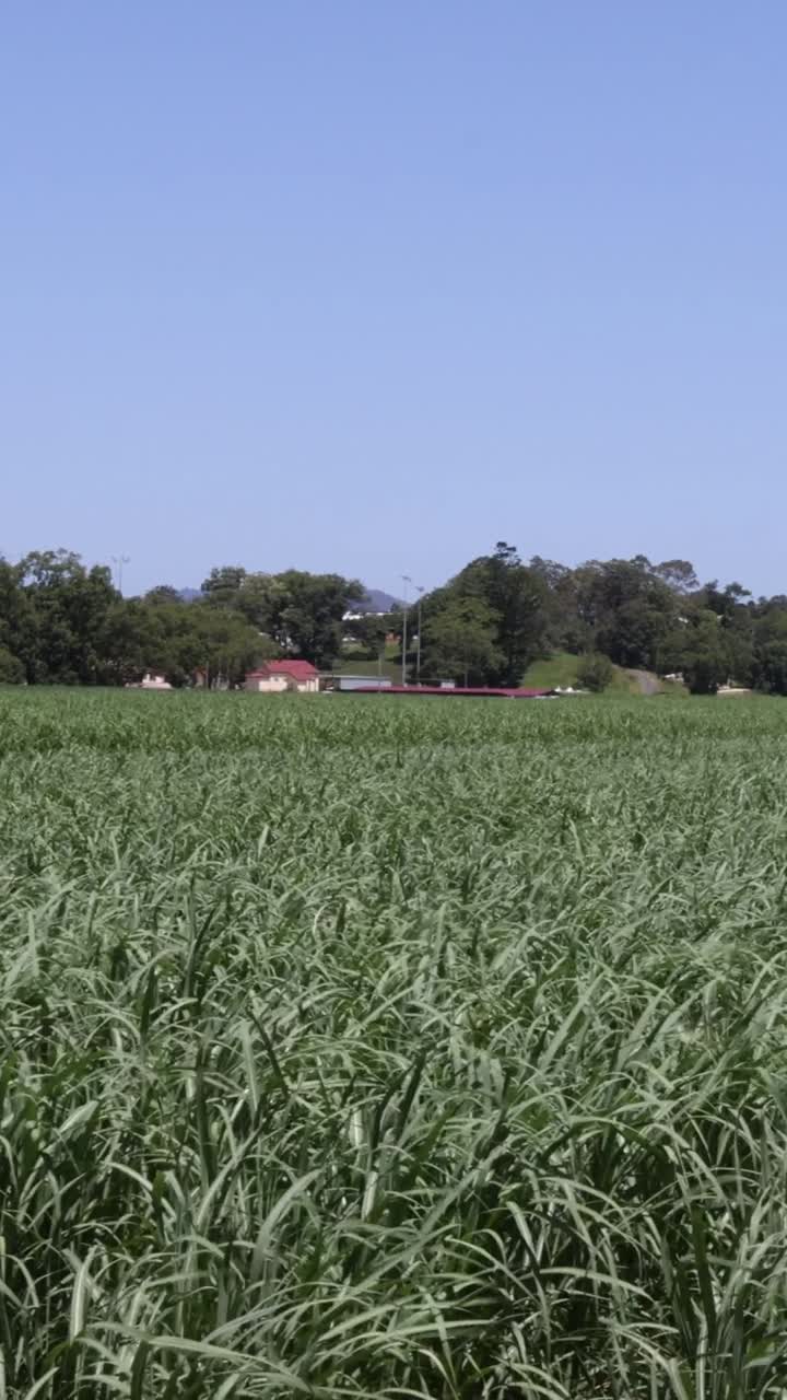campo agrícola con cambios de luz solar y sombras