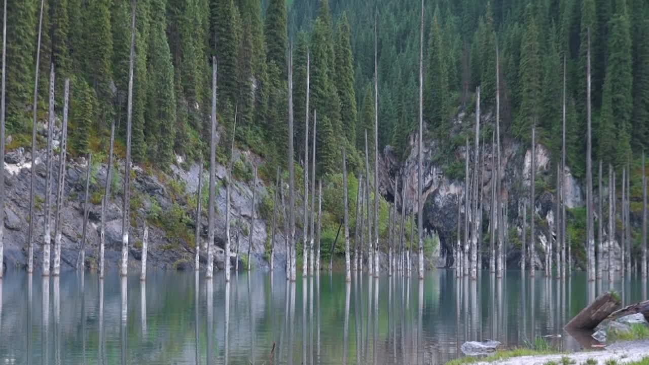 lago kaindy en kazajstán conocido también como lago de abedules o bosque submarino