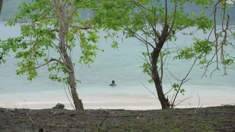 clip from behind trees of a lone spear fisherman walking into the calm ocean and submerging himself into the water to prepare to spear fish