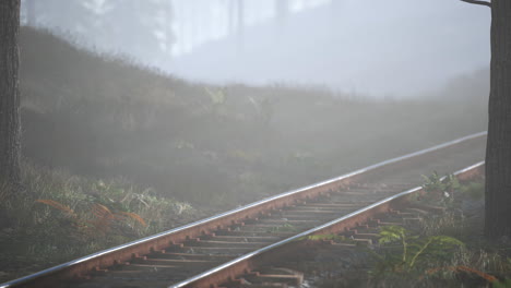 empty railway goes through foggy forest in morning