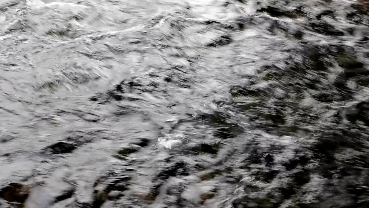 오후에 강에서 물의 흐름 클로즈업