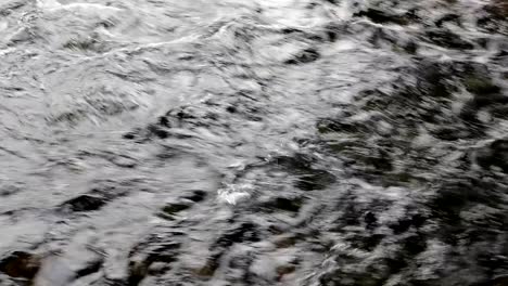 flow of water in the river in the afternoon close-up