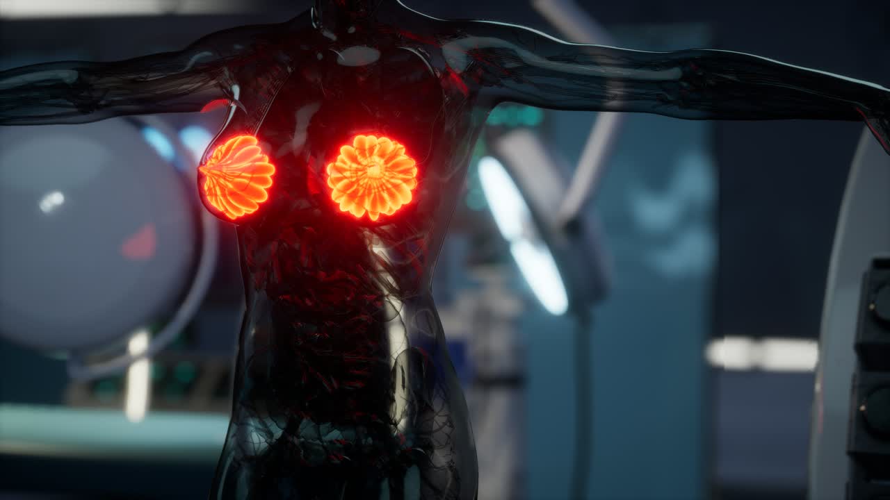 여성 유방 의 의학적 검사