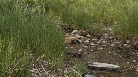 stream flowing on beach in english lake district, cumbria