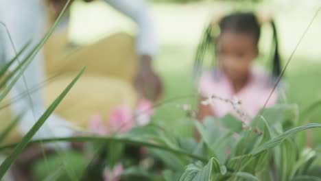 Feliz-Madre-E-Hija-Afroamericana-Plantando-Flores-En-Un-Jardín-Soleado,-Cámara-Lenta