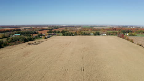 Amplia-Vista-Aérea-De-Campos-Agrícolas-Planos-Llenos-De-Tallos-De-Maíz-Marrón-Secos-Listos-Para-Ser-Cosechados