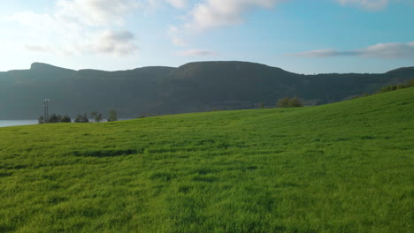 beautiful green landscape by the mountains of rogaland in norway -wide