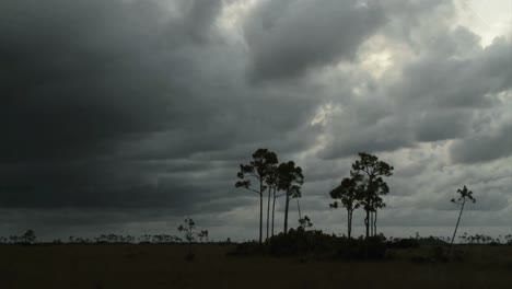 Una-Gran-Tormenta-Sopla-Sobre-Los-Everglades-De-Florida-En-Un-Lapso-De-Tiempo