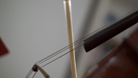 bow on cello strings close up