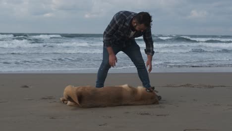 man and dog beach