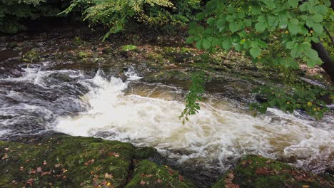 the river tavy flowing over boulders and between rocks in the river causing the water to have a strong current and splash and foam