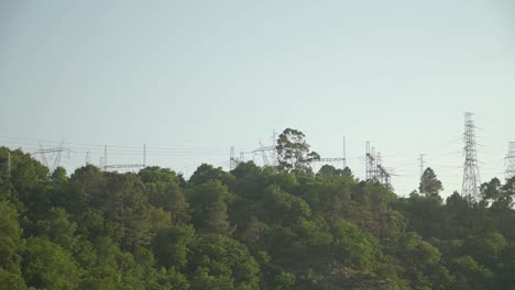 cables eléctricos sobre un bosque verde en la cima de una montaña en portugal