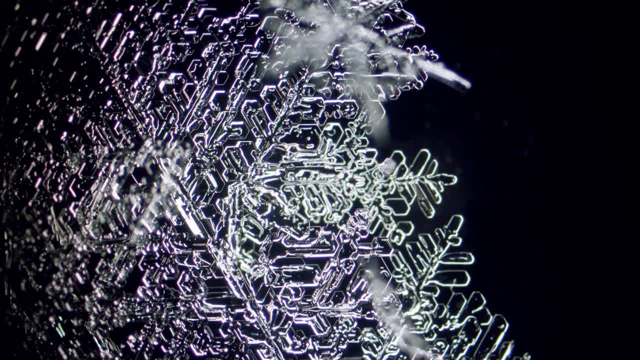 Snowflake crystals under microscope dark field