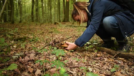 recogiendo setas en el bosque