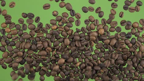 top view of falling down coffee beans. the seeds fall and fill the green screen. grain background