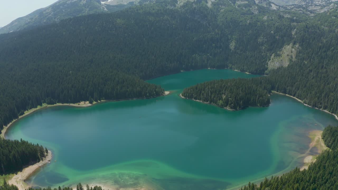 озеро в горах и хвойный лес в национальном парке дурмитор, черногория