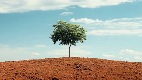 un árbol solitario en la cima de una colina con un cielo azul en el fondo