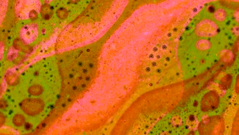 fabulous patterns