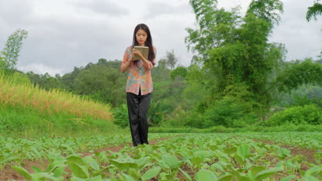 young-female-Vietnamese-asiatic-farmer-engineer-checking-the-crop-plantation-in-agricultural-field-with-software-on-modern-5g-tablet-laptop