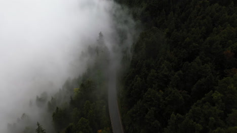 drone shot tracking a vehicle on a misty, woodland road in dolomites, italy