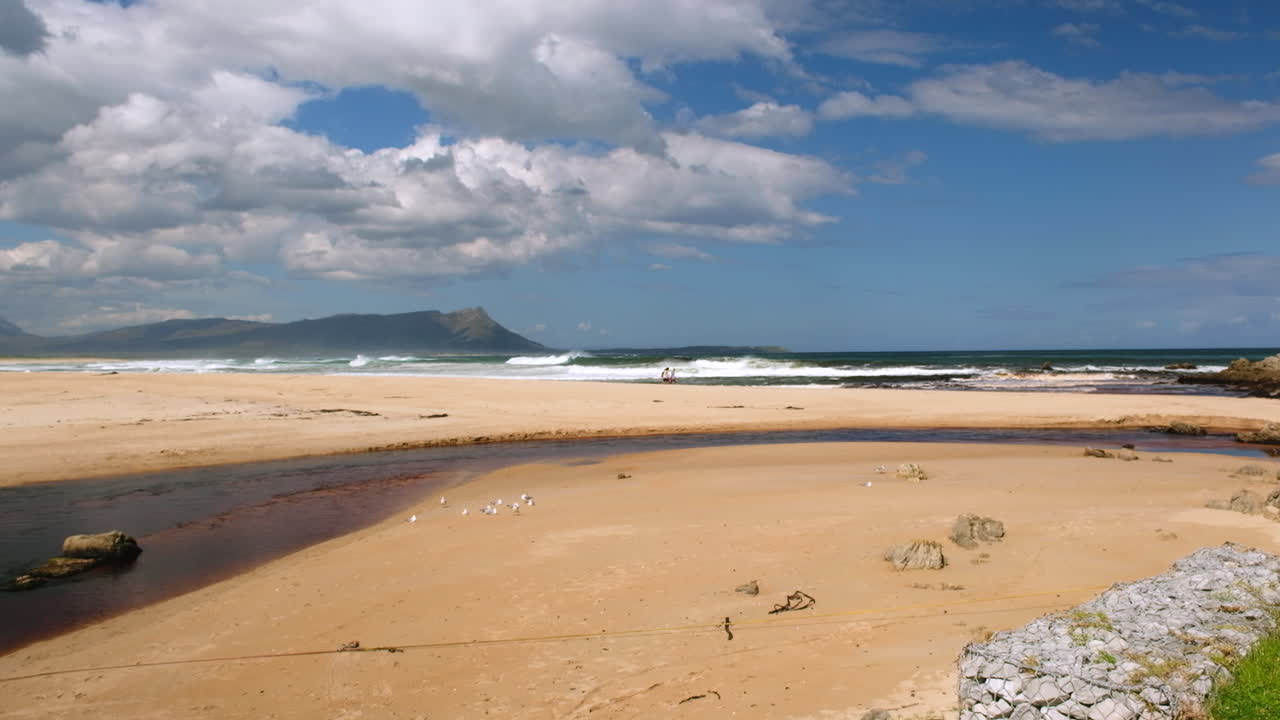 닌이 풍부한 호수와 함께 모래 해변 근처의 기둥에 있는 분홍색 구조 보이, 여름 날