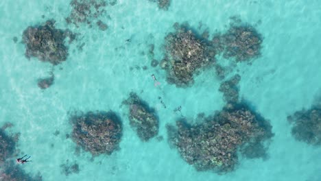 Scuba-divers-in-clear-blue-ocean-water-exploring-a-coral-reef-ecosystem-on-The-Great-Barrier-Reef