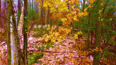 Drone-Volando-A-Través-De-Los-árboles-En-El-Bosque-De-Un-Monte-Nevado-De-Washington,-Ubicado-En-New-Hampshire,-En-Estados-Unidos-De-América