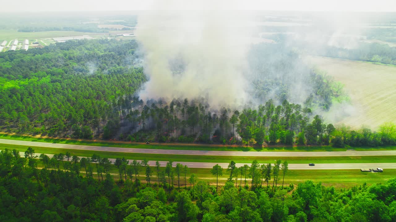 Controlled wildfire spreading through dense forest near highway. Georgia, USA