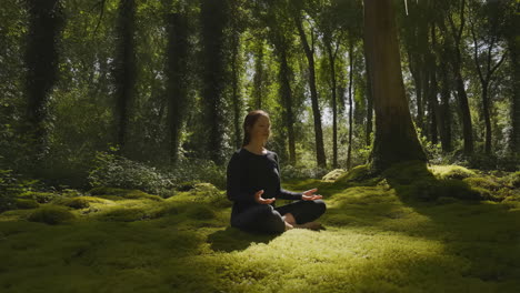 woman meditating in a lush green forest