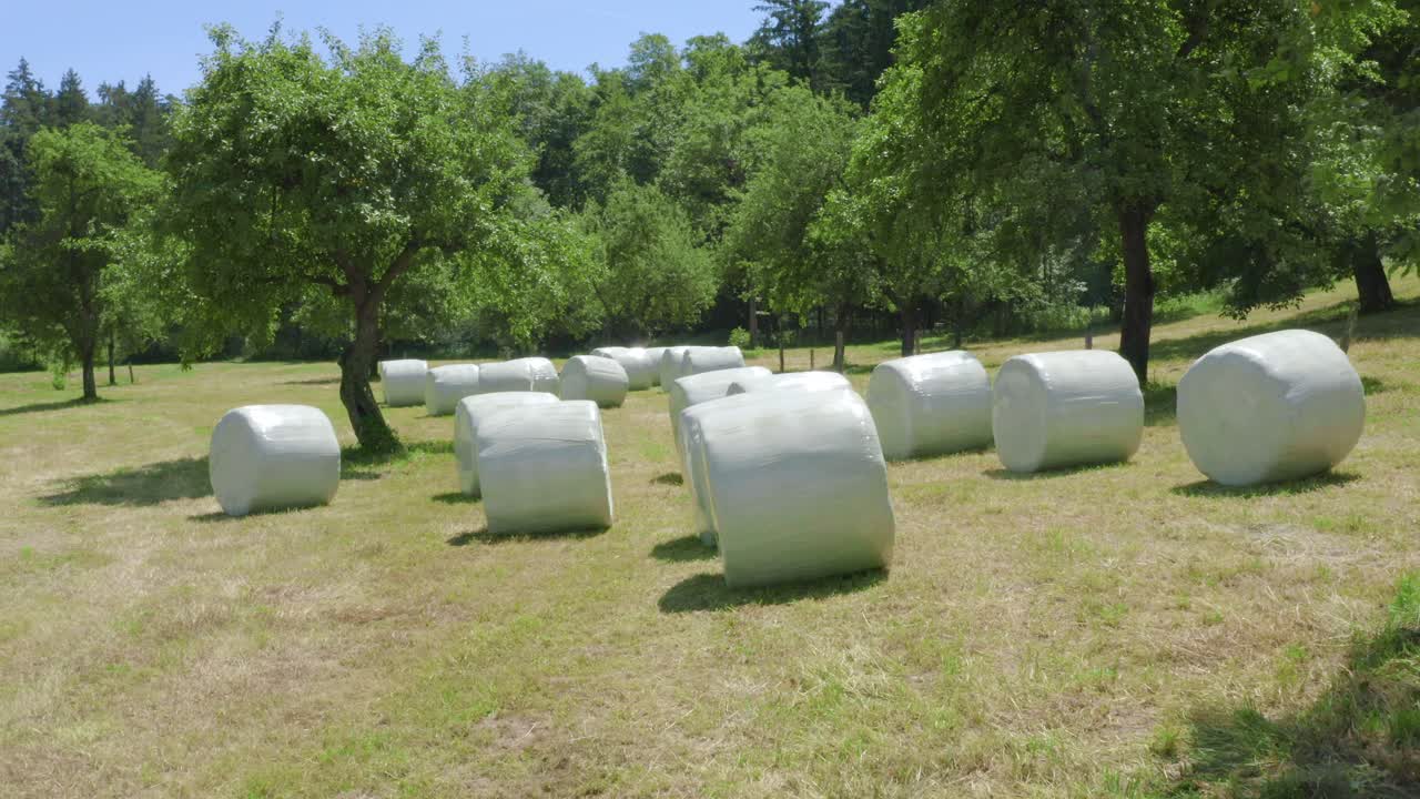 Packed hay piles in plastic at Slovenj Gradec rural, Slovenia