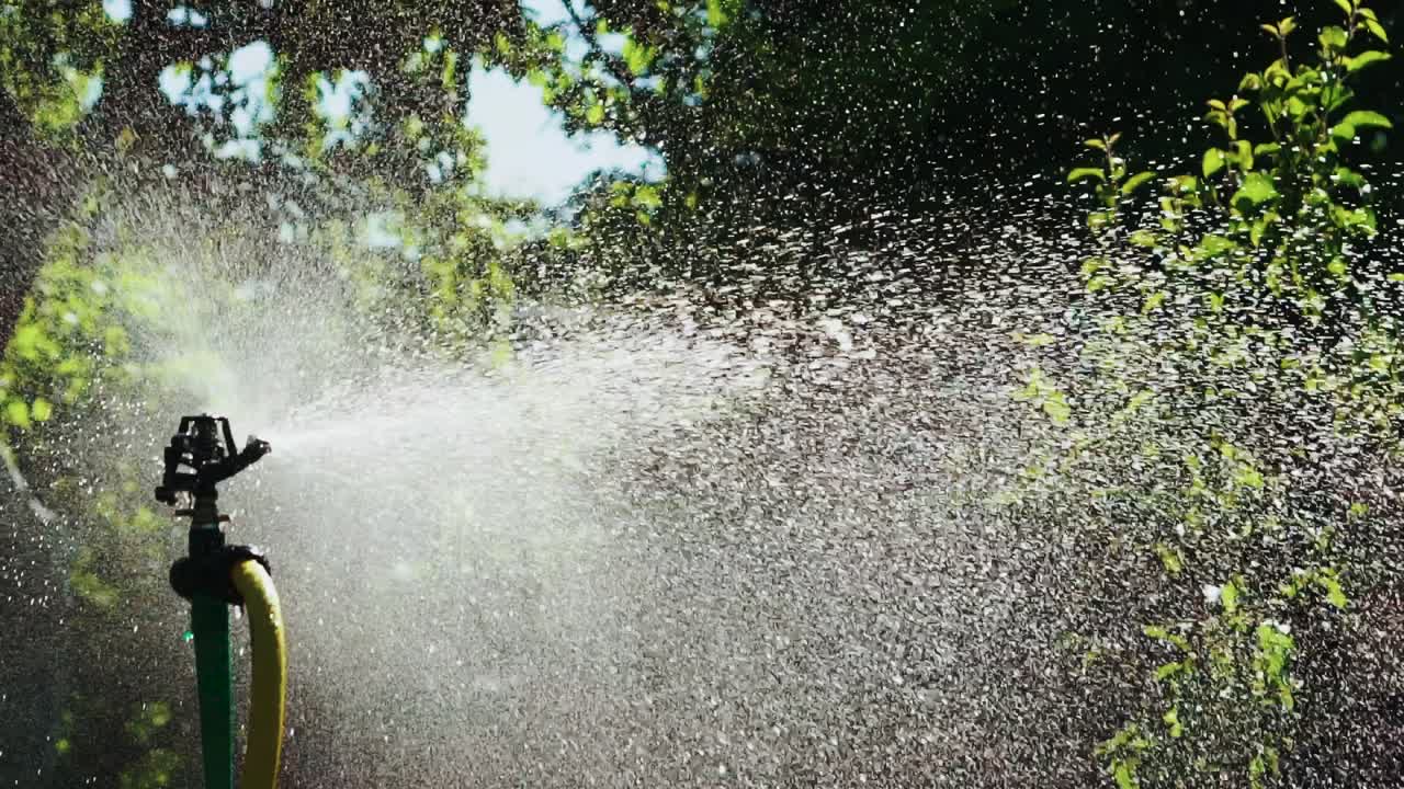 Sprinkler hose for irrigation plants. Close up view of sprinkler spraying water over green garden