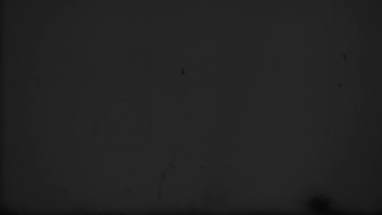 película líder cuenta atrás, vieja película cuenta atrás carrete de película, imitación de una vieja película con ruido y arañazos video de stock