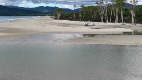 aerial footage glides over a sandy shoreline bordered by lush rainforest, with calm water, soft daylight, and smooth camera movement enhancing the tranquil scene