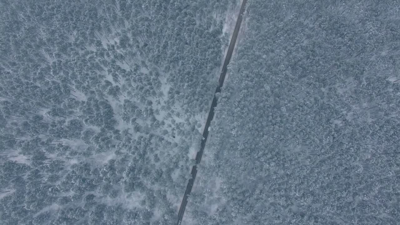 눈 인 숲 도로 공중 사진