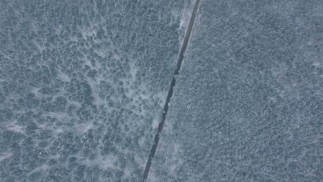 snowy forest road aerial view