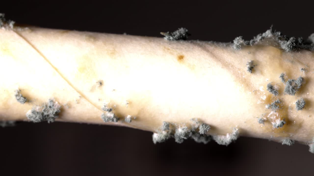 A detailed shot of a white paper straw showing grey mold, emphasizing the texture and growth.