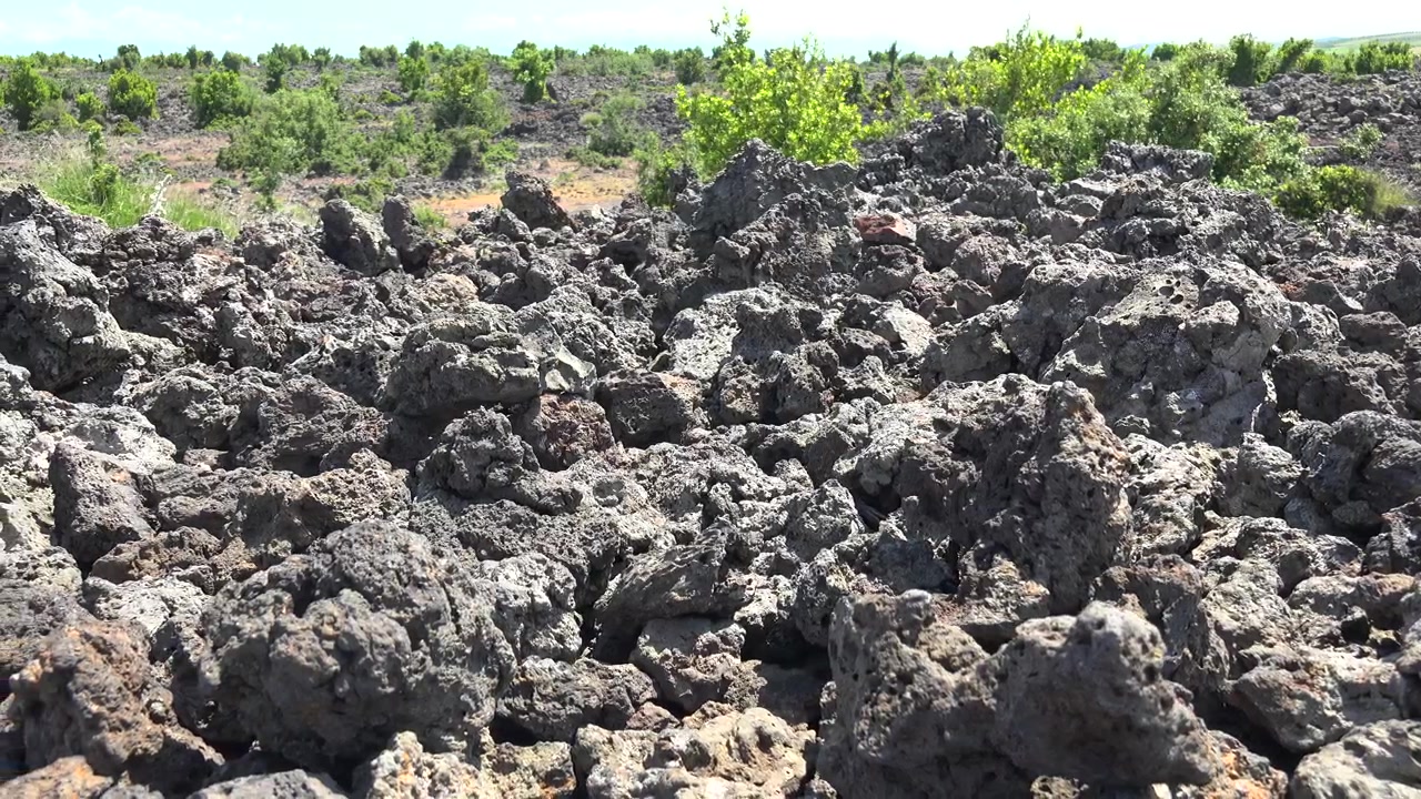 Campo di lava vulcanica accidentato con scarsa vegetazione verde