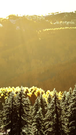 a scenic view of a mountain forest at sunset