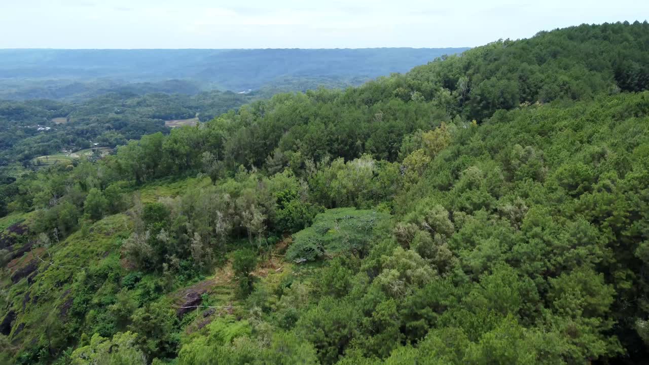 vista aérea del bosque verde en indonesia