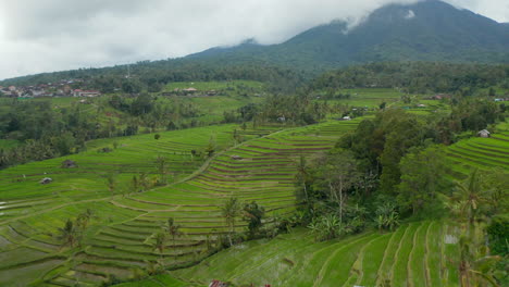 Rice-field-plantations-on-terraced-green-hills-in-Bali.-Aerial-view-of-lush-green-rural-farm-fields-in-Asia